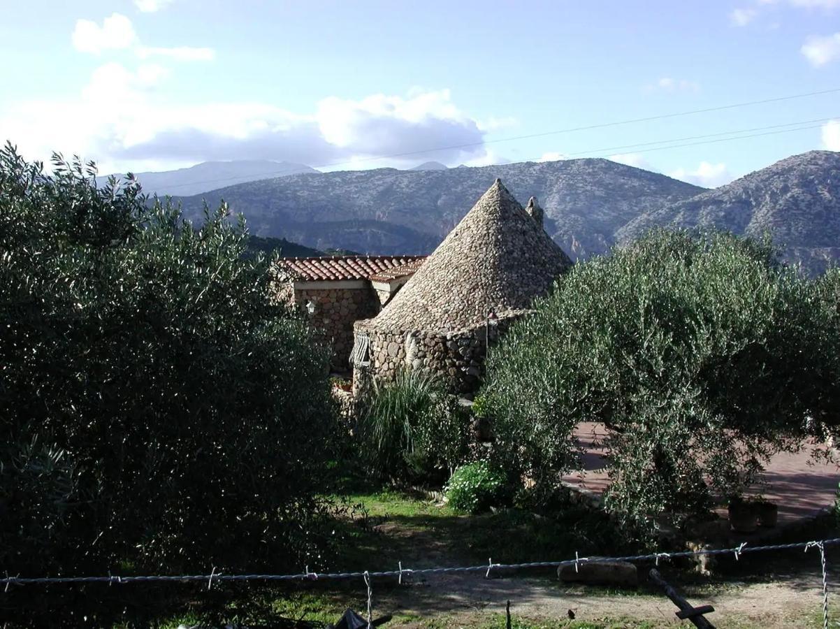 Casa In Campagna Hotel Dorgali Bagian luar foto