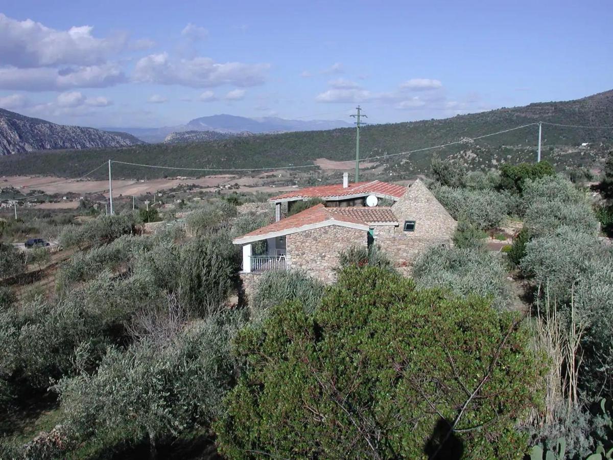 Casa In Campagna Hotel Dorgali Bagian luar foto